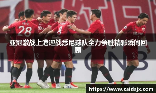 亚冠激战上港迎战悉尼球队全力争胜精彩瞬间回顾